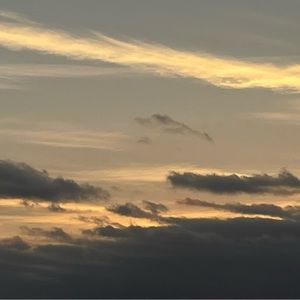 Meet your Posher, Tulip